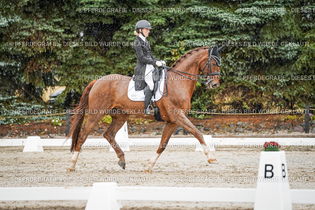 DSC09210 | Pferdegrafie