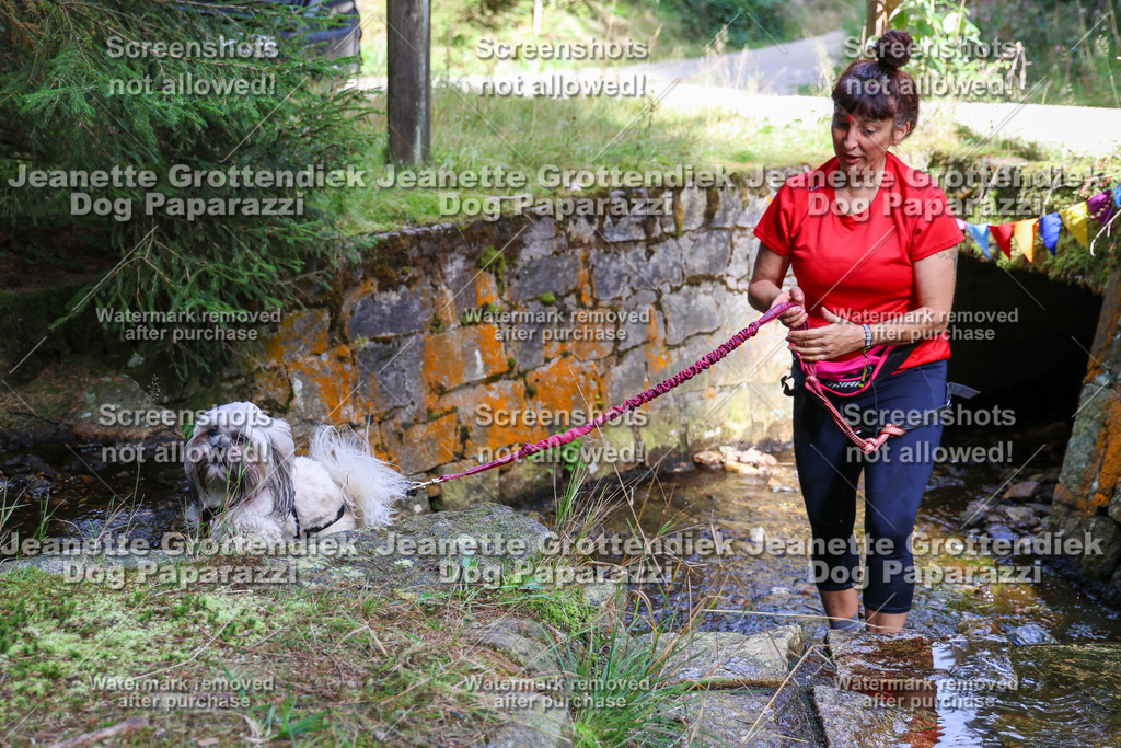 Dog Paparazzi -  TH 26-13 | Dog Paparazzi Jeanette Grottendiek Fotografie & Videografie - Realisiert mit Pictrs.com