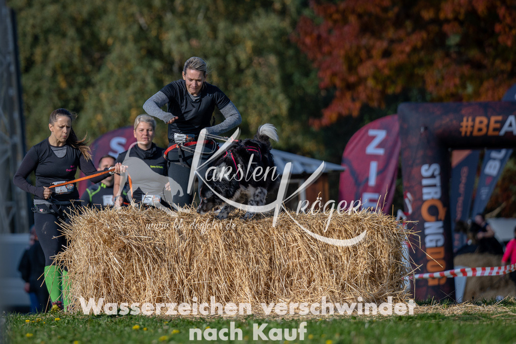 1058_ZZ92216 | kk-dogfotos