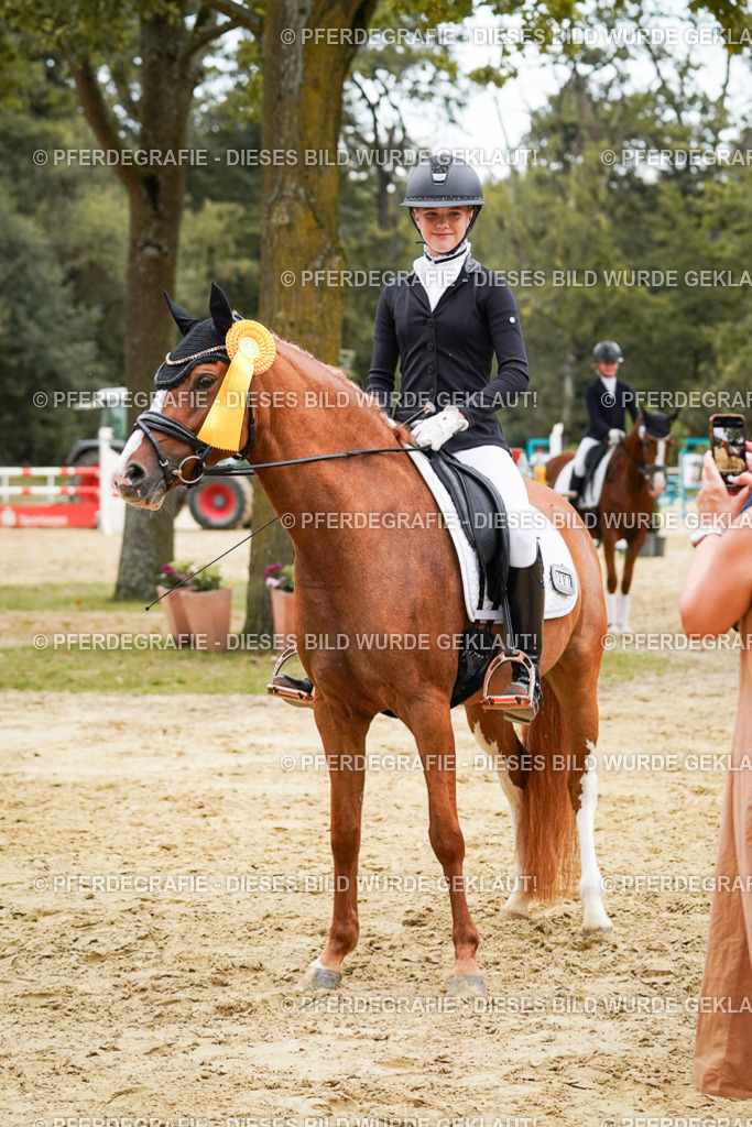 DSC06210 | Pferdegrafie