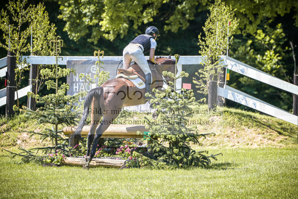 DOS_2146 | Entdecke hochwertige Reitturnierfotos von Foto Oger. Professionell, emotional und authentisch – jetzt Lieblingsmomente im Shop bestellen.Deutschlandweite Turnierfotografie. - Realisiert mit Pictrs.com