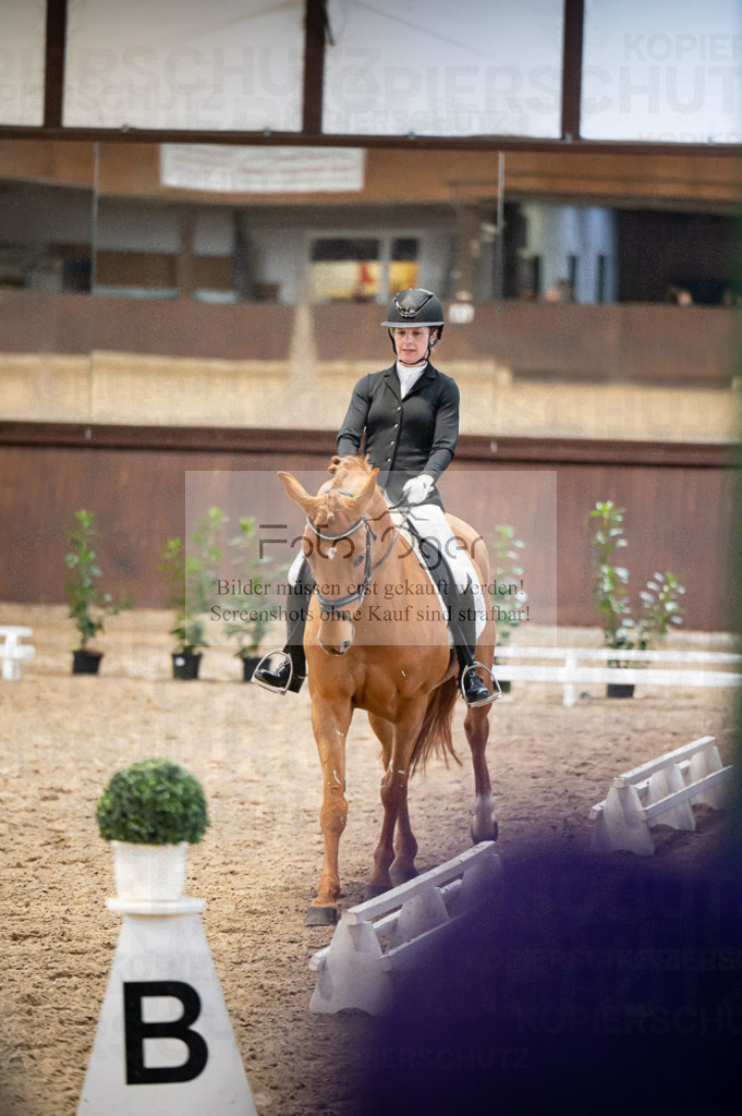 Hallenreittunier Voxtrup 2023 | Entdecke hochwertige Reitturnierfotos von Foto Oger. Professionell, emotional und authentisch – jetzt Lieblingsmomente im Shop bestellen.Deutschlandweite Turnierfotografie. - Realisiert mit Pictrs.com