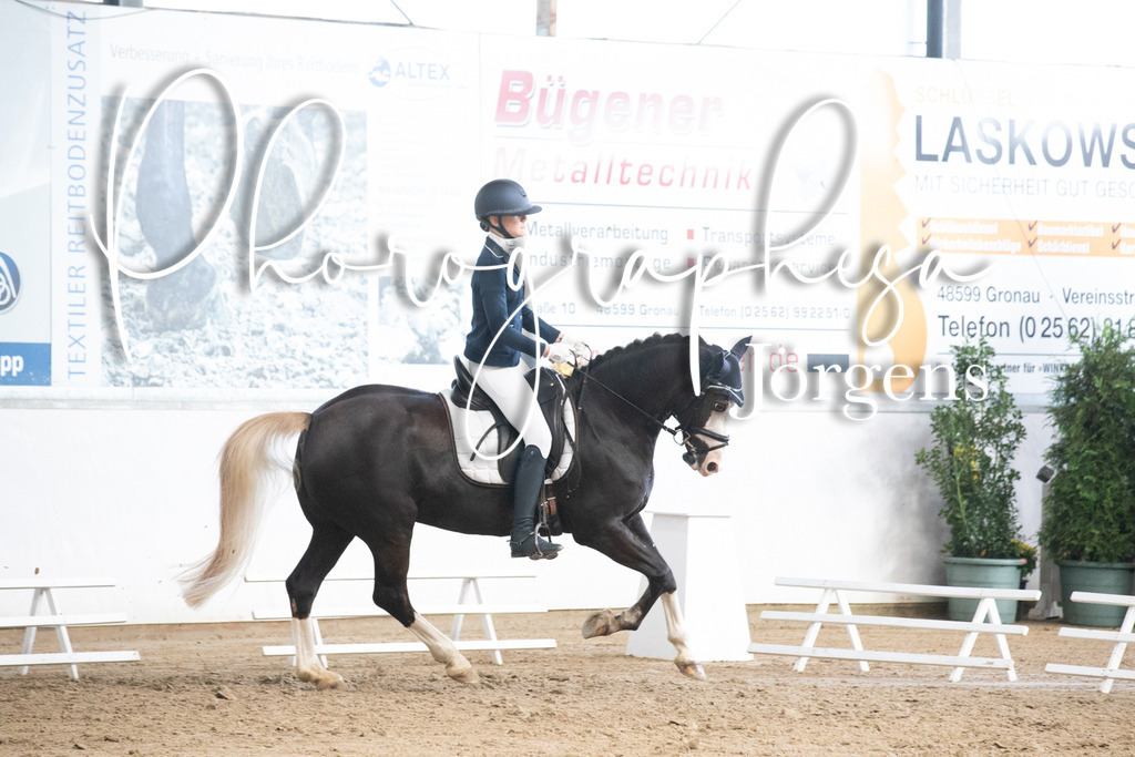 IMG_6040 | photographesa-joergens - Realisiert mit Pictrs.com