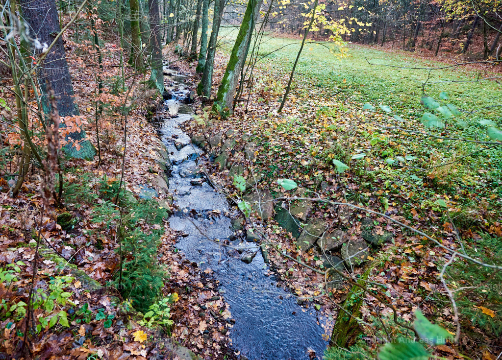 Am Seerenbach 04 | Bedeutsame Landschaften Deutschlands - Realisiert mit Pictrs.com