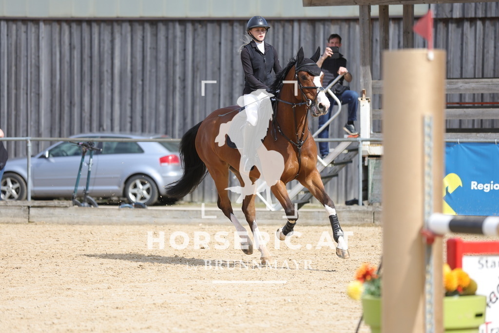 0P6A9598 | Willkommen bei Brunnmayr - Design & Fotografie – Ihrem Spezialisten für Reitturniere und Pferdeveranstaltungen in Oberösterreich, Salzburg und Bayern! Seit über 17 Jahren sind wir leidenschaftlich dabei.