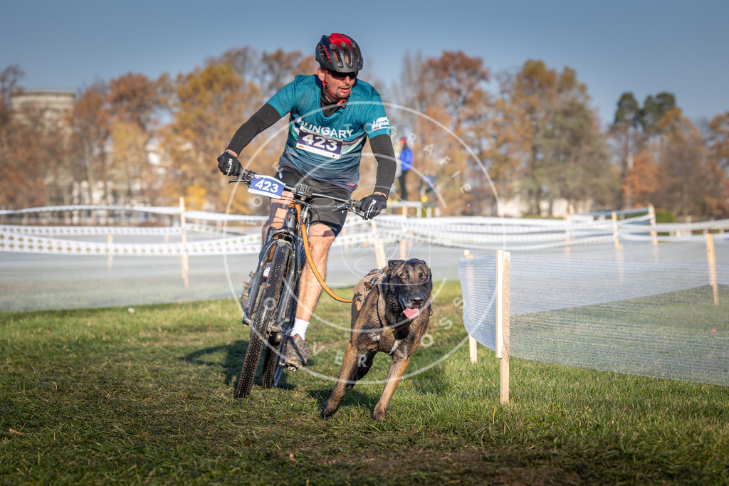 CaniXpix_0L8A4187 | Hundefotografie, Tierfotograf, Pfotenfotografie, Fotoshooting Hund, Hunde Portrait, Hundesport, Hundeportraits, Heideshooting, Hunde, Sportfotograf, Hundefotograf, Turnierhundsport, THS,  - Realisiert mit Pictrs.com