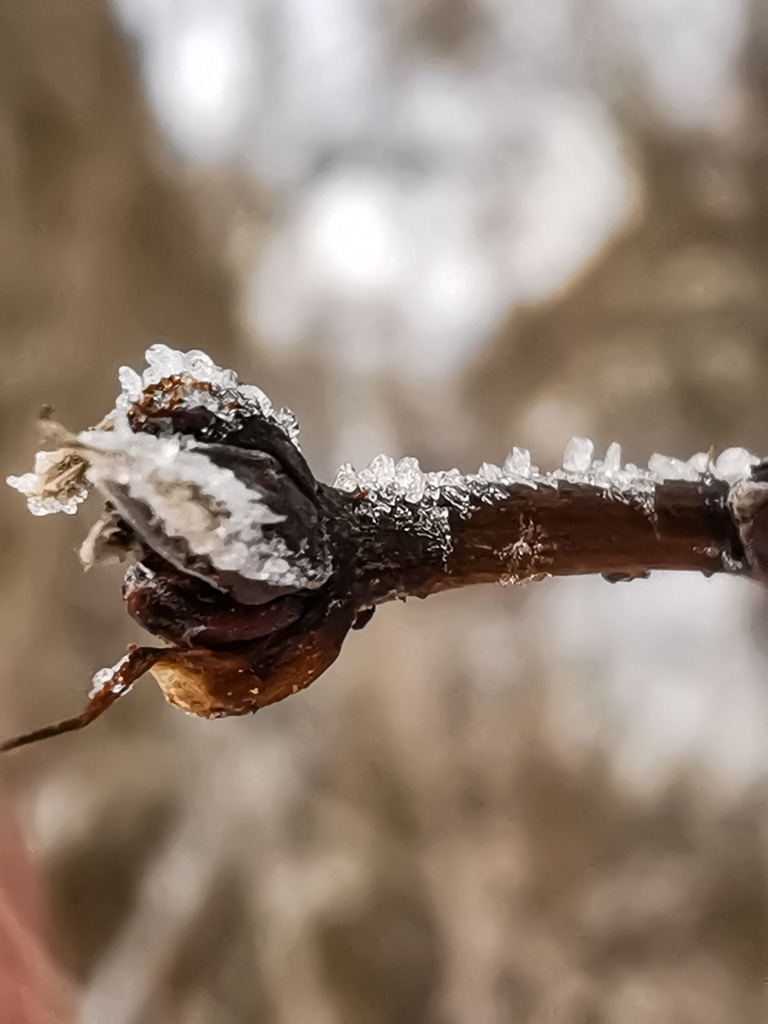 PSX_20230125_000440 | mtkfoto_ - Realisiert mit Pictrs.com