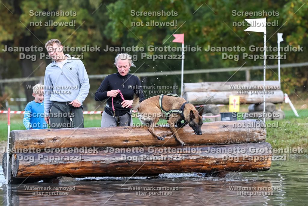 Dog Paparazzi - Strongdog 10-25-6856 | Dog Paparazzi Jeanette Grottendiek Fotografie & Videografie - Realisiert mit Pictrs.com