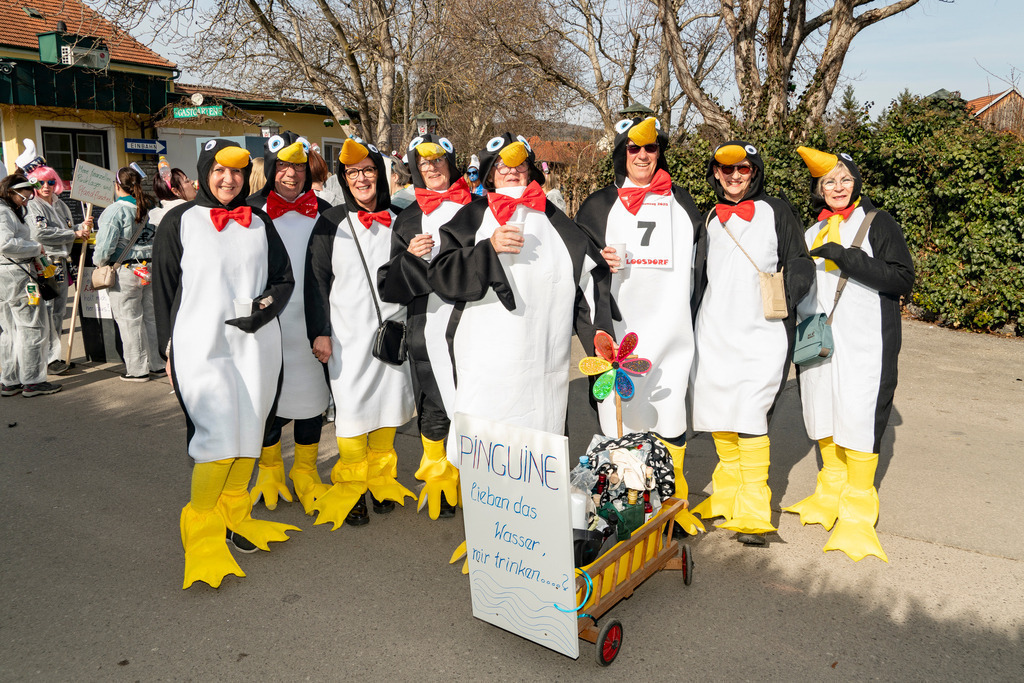 MASKEN-Gruppe_8804 | Fotostrecke: FASCHINGSUMZUG 2025 in Loosdorf. 22 Masken(gruppen)-Teilnehmer: Loosdorfer Vereine, Wirtschaftstreibende, Gemeindeabordnungen sowie Kreditinstitute. rund 700 Besucher entlang der Hauptstrasse. Veranstaltungs-Sicherung durch Mannschaft der FF-Loosdorf mit schwerem Gerät. Maskenprämierung am EKZ-Platz durch Bgm. Thomas Vasku in den Kategorien: Bester Festwagen (Fa. gkonzept-Groissenberger; Beste Personengruppe-ASK-Loosdorf; Beste Einzelperson; Weiteste Anreise-FF Schollach;