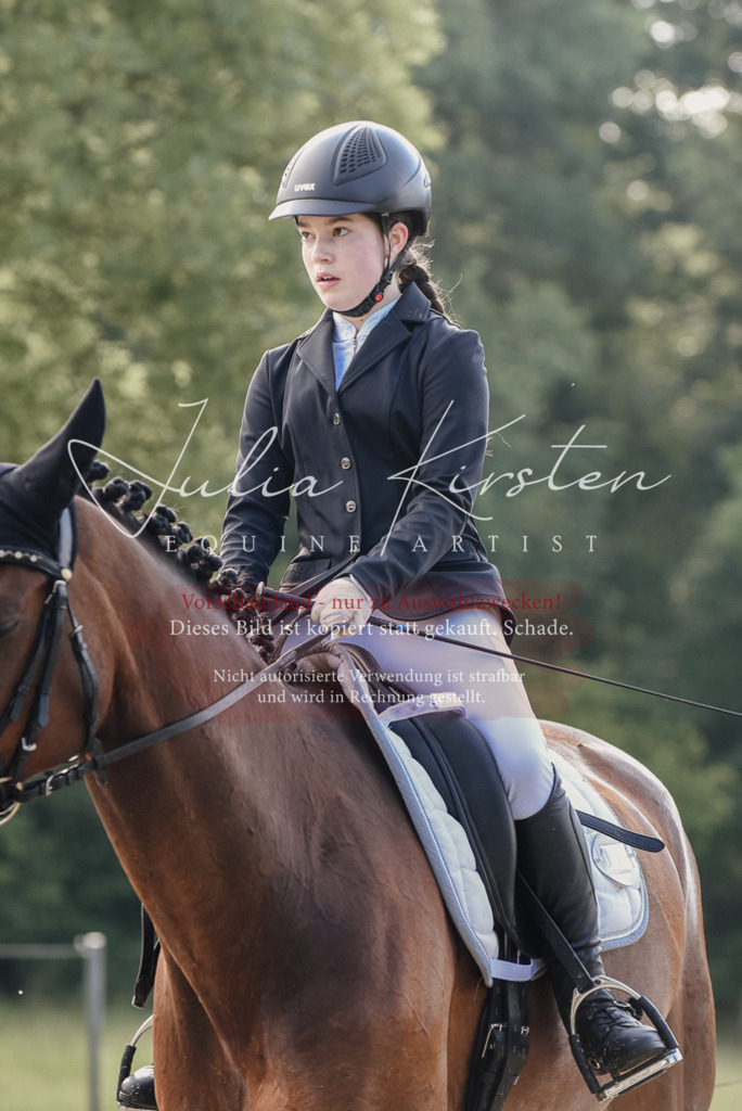 DSC_7920 | Pferde- und Turnierfotografie in Westsachsen. Pferdeportraits, Auftragszeichnungen und intuitive Kunst.