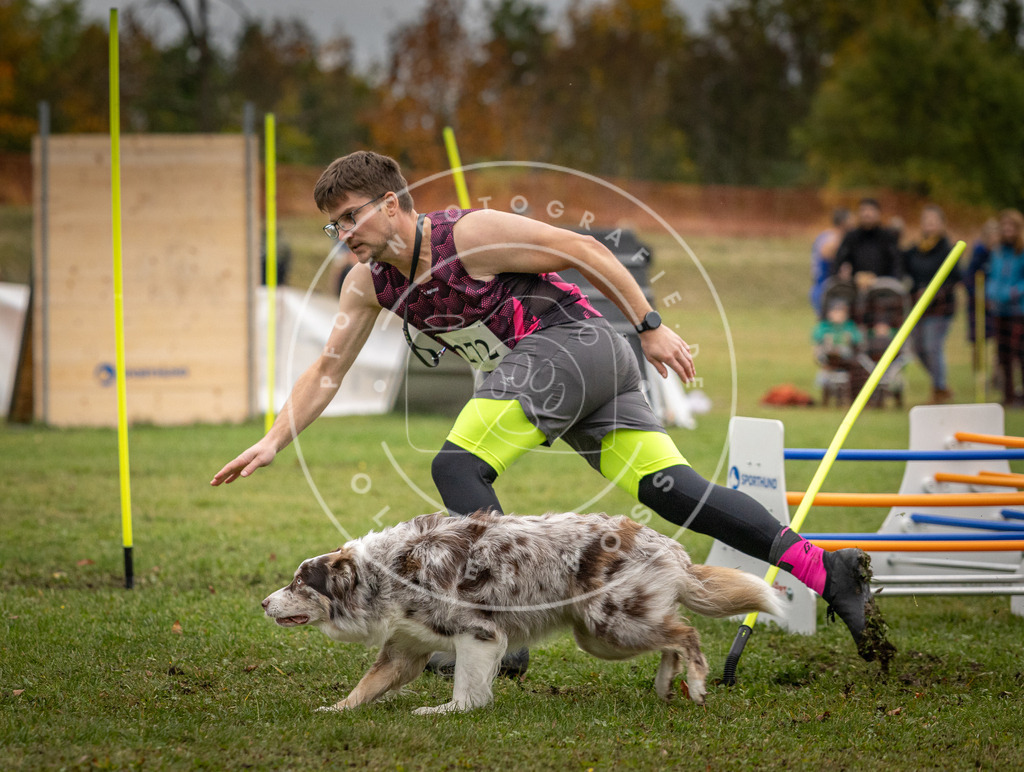Pfotenfotografie_DV3A9797 | Hundefotografie, Tierfotograf, Pfotenfotografie, Fotoshooting Hund, Hunde Portrait, Hundesport, Hundeportraits, Heideshooting, Hunde, Sportfotograf, Hundefotograf, Turnierhundsport, THS,  - Realisiert mit Pictrs.com
