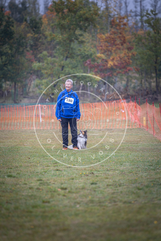 Pfotenfotografie_DV3A9552 | Hundefotografie, Tierfotograf, Pfotenfotografie, Fotoshooting Hund, Hunde Portrait, Hundesport, Hundeportraits, Heideshooting, Hunde, Sportfotograf, Hundefotograf, Turnierhundsport, THS,  - Realisiert mit Pictrs.com