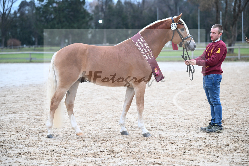 Kat-Nr. 34 nn v. Starino I_Grimminger_48251920 | hf-fotografie - Realisiert mit Pictrs.com