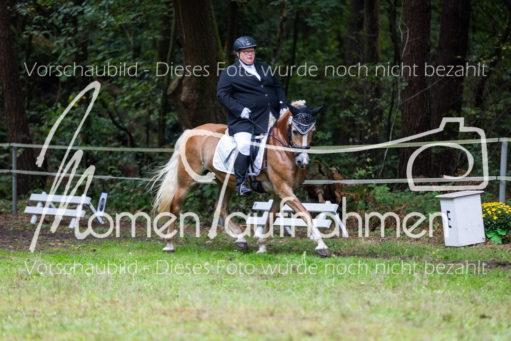 HB-A-Dressur-112 | MomenTaufnahmen Pferdesportfotos