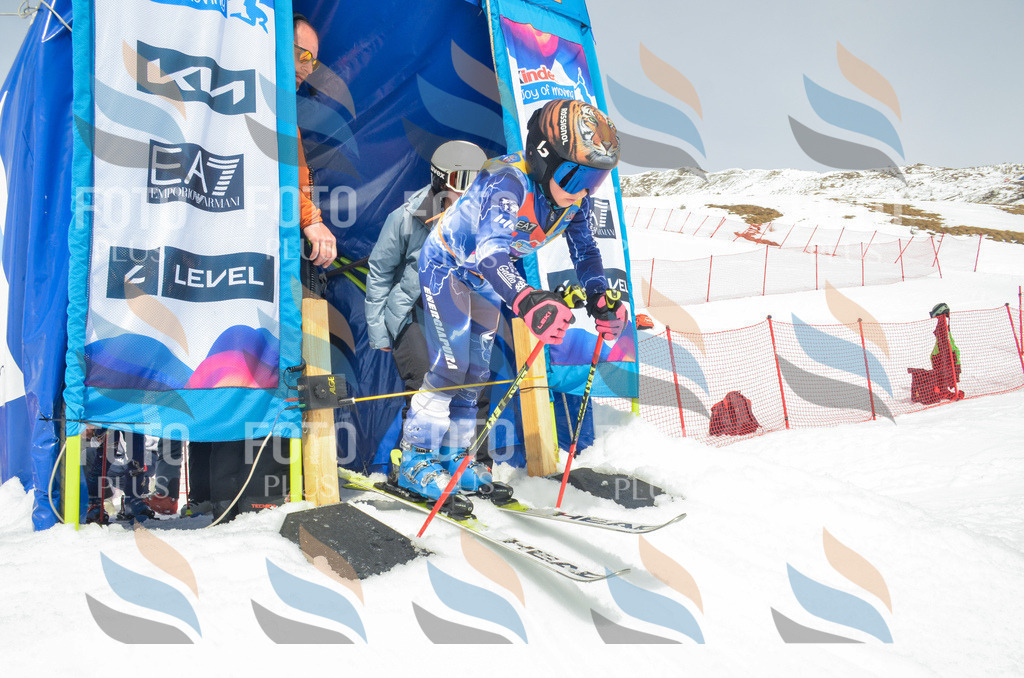 _ELE7966 | holidayphoto