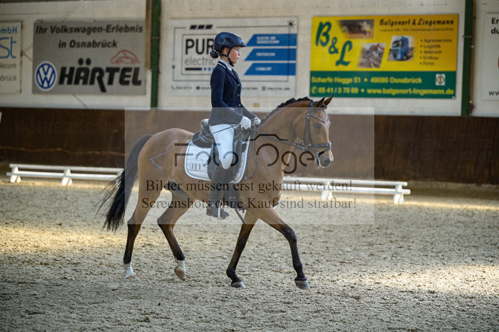 Reitturnier Voxtrup | Entdecke hochwertige Reitturnierfotos von Foto Oger. Professionell, emotional und authentisch – jetzt Lieblingsmomente im Shop bestellen.Deutschlandweite Turnierfotografie. - Realisiert mit Pictrs.com