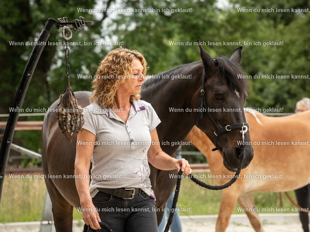 598A6252 | photographylinaismer - Realisiert mit Pictrs.com