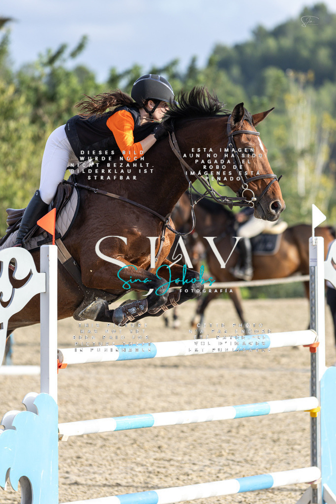 IMG_4925 | s-jay-photography - Realisiert mit Pictrs.com