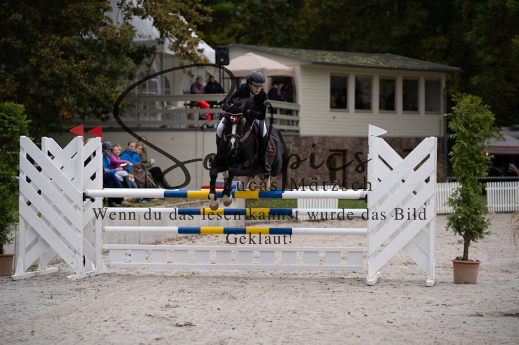 A7V08982 | Pferdefotograf