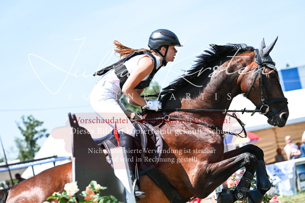 DSC_0236 | Pferde- und Turnierfotografie in Westsachsen. Pferdeportraits, Auftragszeichnungen und intuitive Kunst.