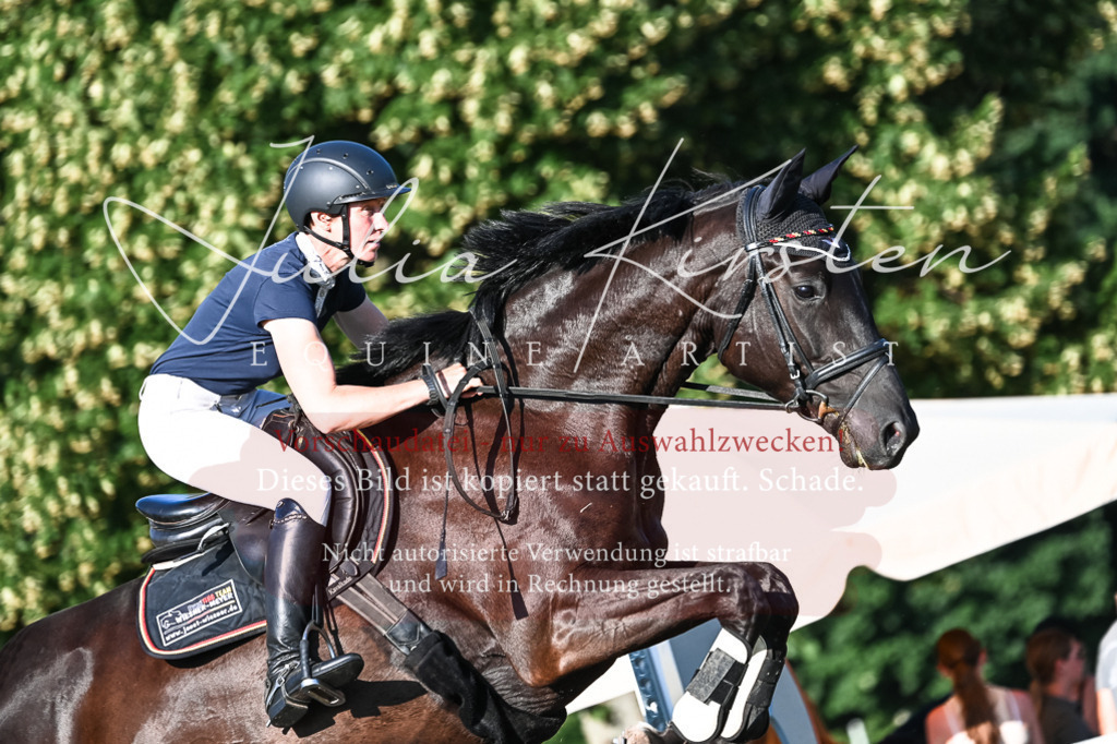 DSC_3082 | Pferde- und Turnierfotografie in Westsachsen. Pferdeportraits, Auftragszeichnungen und intuitive Kunst.
