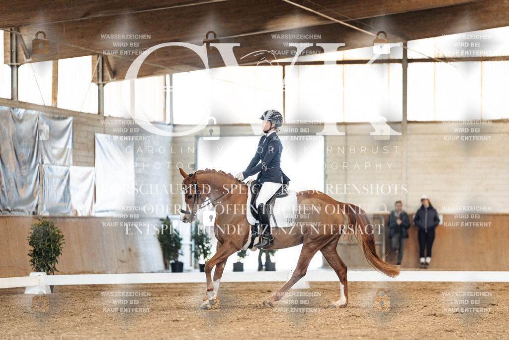 CK900778 | Turnierfotografie Pferdefotografie Trier Rheinland-Pfalz Pferdesport Reitsport Tierfotografie Sportfotografie Pferdevideo Pferdevideografie Equestrianvideography equestrianphotography  - Realisiert mit Pictrs.com