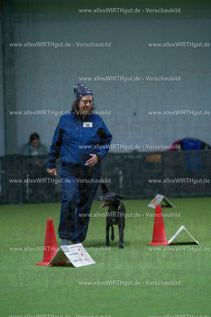 7R506013 | Professionelle Tierfotografie in Mönchengladbach von Daniel Wirth (allesWIRTHgut). Liebevolle & natürliche Bilder von Hunden & Katzen für unvergessliche Erinnerungen.