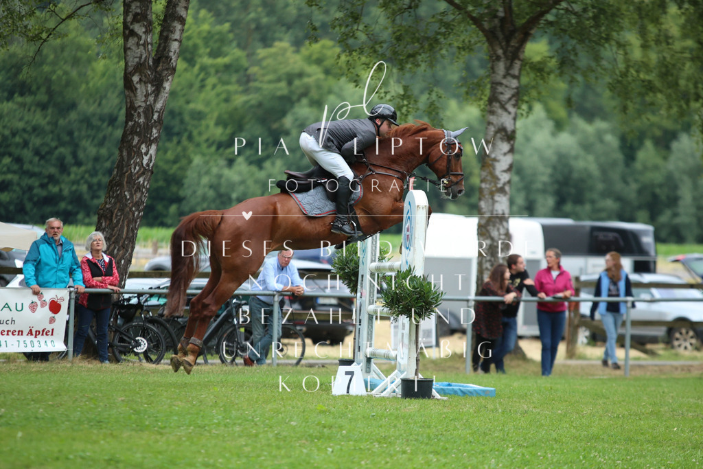 IMGM4384 | pl-fotografie