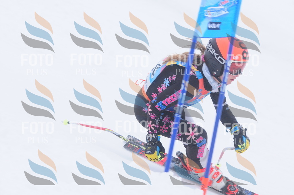 C2768 | holidayphoto