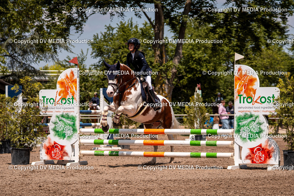 Eppelheim Tag 3-362 | dv-media-shop - Realisiert mit Pictrs.com