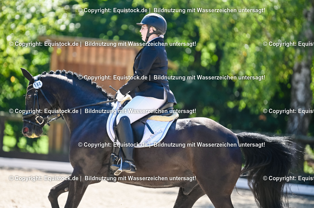 20230908_06_Dressur-L-Trense_0700 | equistock