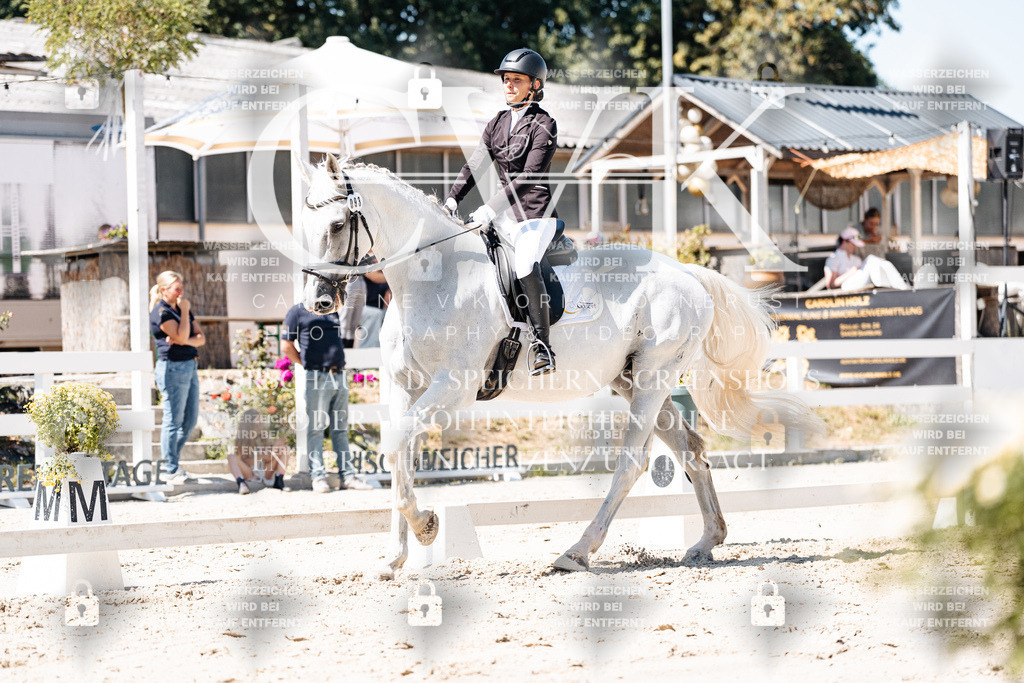 CK909918 | Turnierfotografie Pferdefotografie Trier Rheinland-Pfalz Pferdesport Reitsport Tierfotografie Sportfotografie Pferdevideo Pferdevideografie Equestrianvideography equestrianphotography  - Realisiert mit Pictrs.com