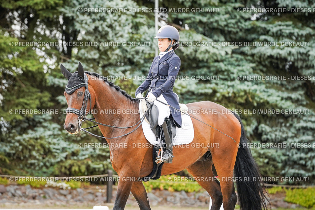 DSC05398 | Pferdegrafie