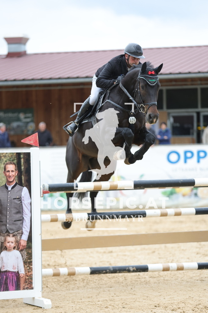 0P6A3569 | Willkommen bei Brunnmayr - Design & Fotografie – Ihrem Spezialisten für Reitturniere und Pferdeveranstaltungen in Oberösterreich, Salzburg und Bayern! Seit über 17 Jahren sind wir leidenschaftlich dabei.