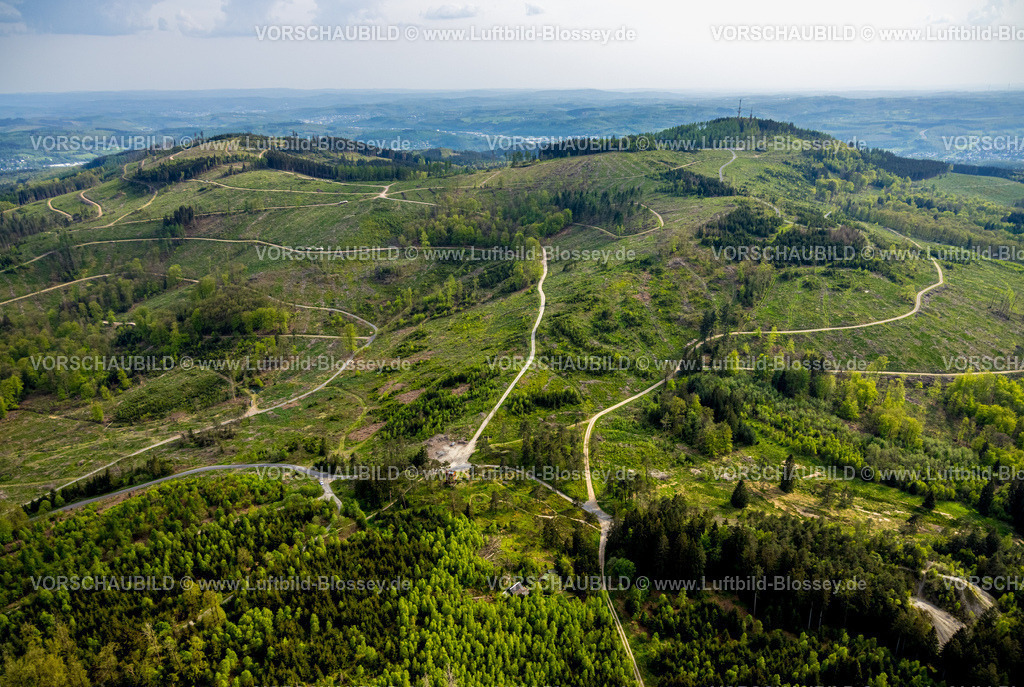 Kreuztal240502465Grubenfeld-Littfeld-Kindelsberg | Luftbild, Waldgebiet mit Waldschäden, Grubenfeld Grubengelände Littfeld Kindelsberg, Altenbergturm Bergbauwüstung archäologische Ausgrabungsstätte, Aussichtsturm, Burgholdinghausen, Kreuztal, Nordrhein-Westfalen, Deutschland