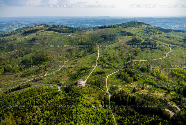 Kreuztal240502465Grubenfeld-Littfeld-Kindelsberg | Luftbild, Waldgebiet mit Waldschäden, Grubenfeld Grubengelände Littfeld Kindelsberg, Altenbergturm Bergbauwüstung archäologische Ausgrabungsstätte, Aussichtsturm, Burgholdinghausen, Kreuztal, Nordrhein-Westfalen, Deutschland