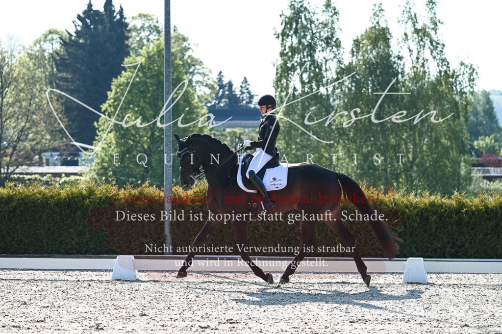 20230514_JK-Röhrsdorf-18-014 | Pferde- und Turnierfotografie in Westsachsen. Pferdeportraits, Auftragszeichnungen und intuitive Kunst.