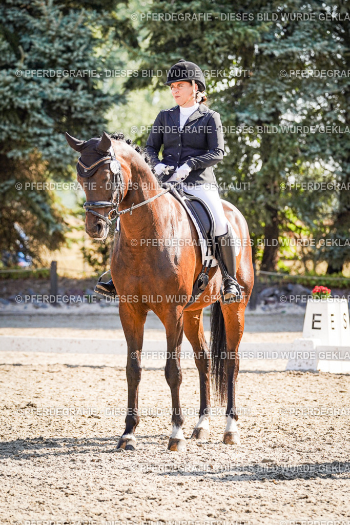 DSC00088 | Pferdegrafie