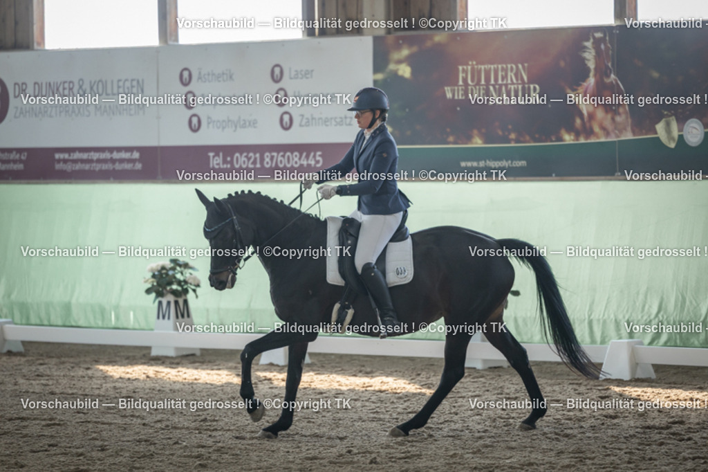 _D5A8324 | Emotionale Pferde- & People-Fotografie rund um Heidelberg, Leimen & Umgebung. Natürliche Fotos von Pferd, Mensch & Familie. Jetzt Termin sichern!