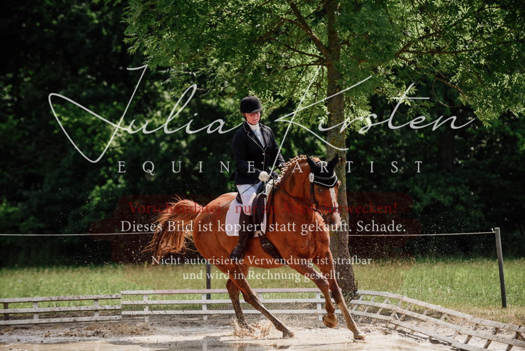 DSC_0715 | Pferde- und Turnierfotografie in Westsachsen. Pferdeportraits, Auftragszeichnungen und intuitive Kunst.