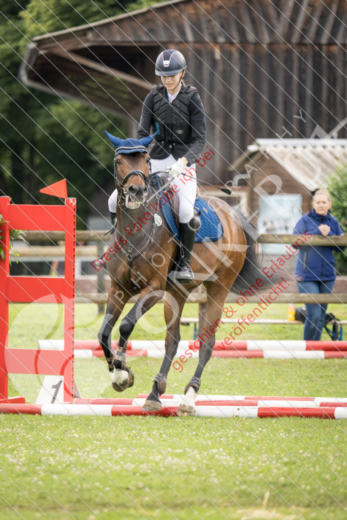 IMG_2579 | Sport-, Event- und Tierfotos in Profiqualität. Einfach auswählen, bestellen und herunterladen. Dein Moment – perfekt festgehalten.