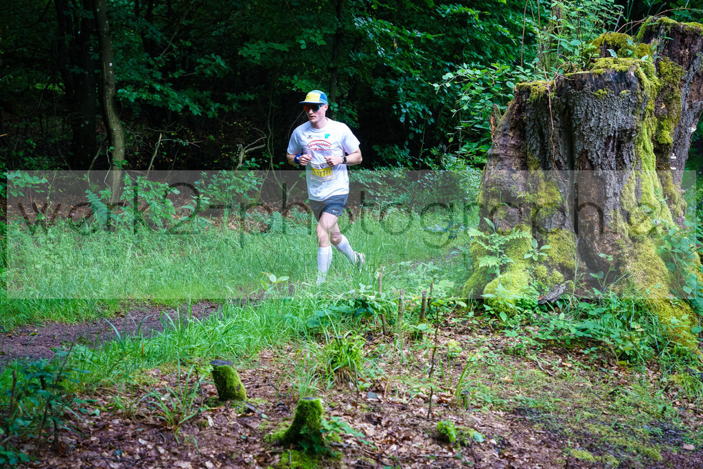 Rennsteig-Staffellauf | 24. Staffellauf - 22.06.2024 von Hörschel nach Blankenstein
