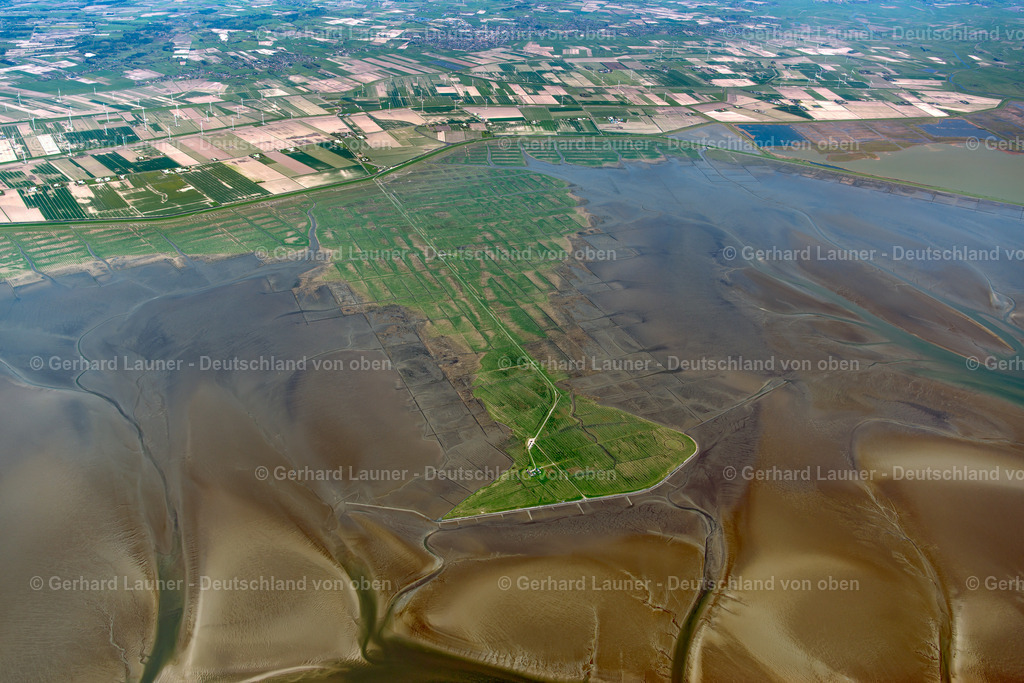 3801636 | Hamburger Hallig, Nationalpark Schleswig-Holsteinisches Wattenmeer