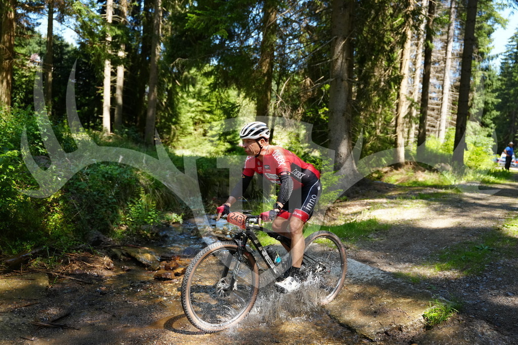 FC101780 | Fotogalerie der Treibjagd im Dunkelwald - Dein MTB Etappenrennen im Erzgebirge - Realisiert mit Pictrs.com