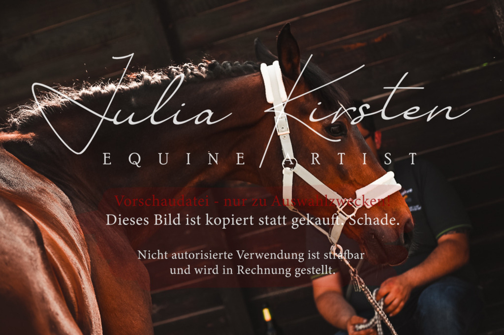 DSC_7303 | Pferde- und Turnierfotografie in Westsachsen. Pferdeportraits, Auftragszeichnungen und intuitive Kunst.