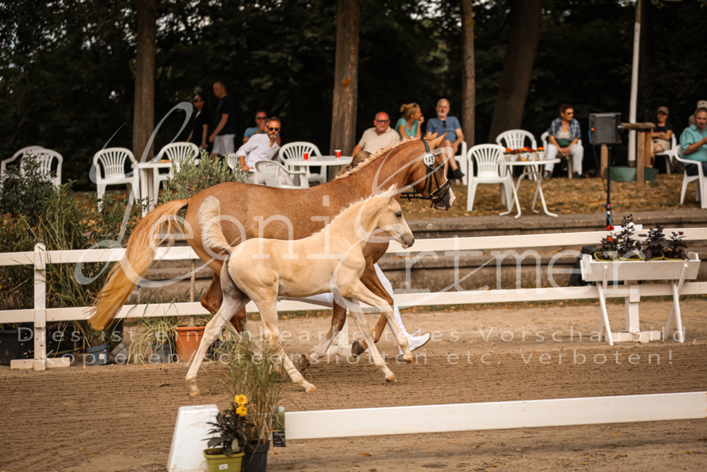 07.So00011 | Leoni Ertmer Photography - Realisiert mit Pictrs.com