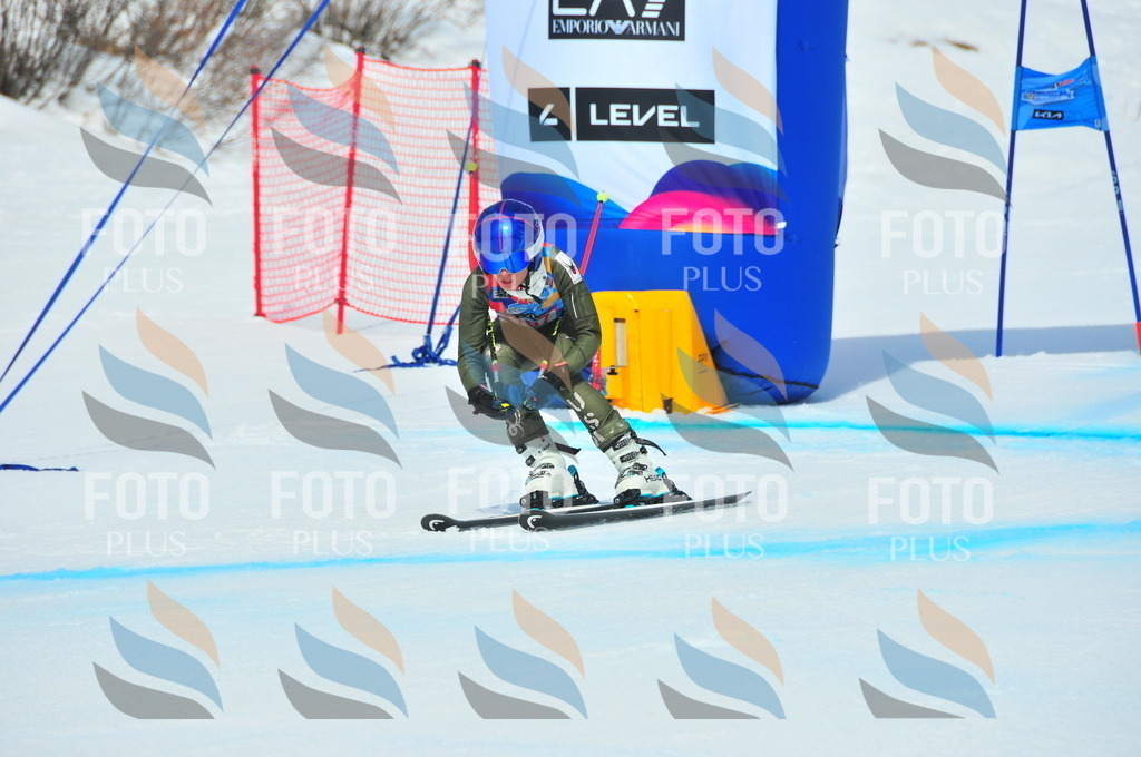 DSC_5534 | holidayphoto