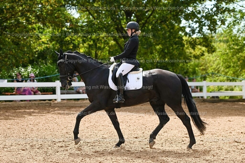 20230715_07_Dressurpferdeprfg. Kl.L_0155 | equistock