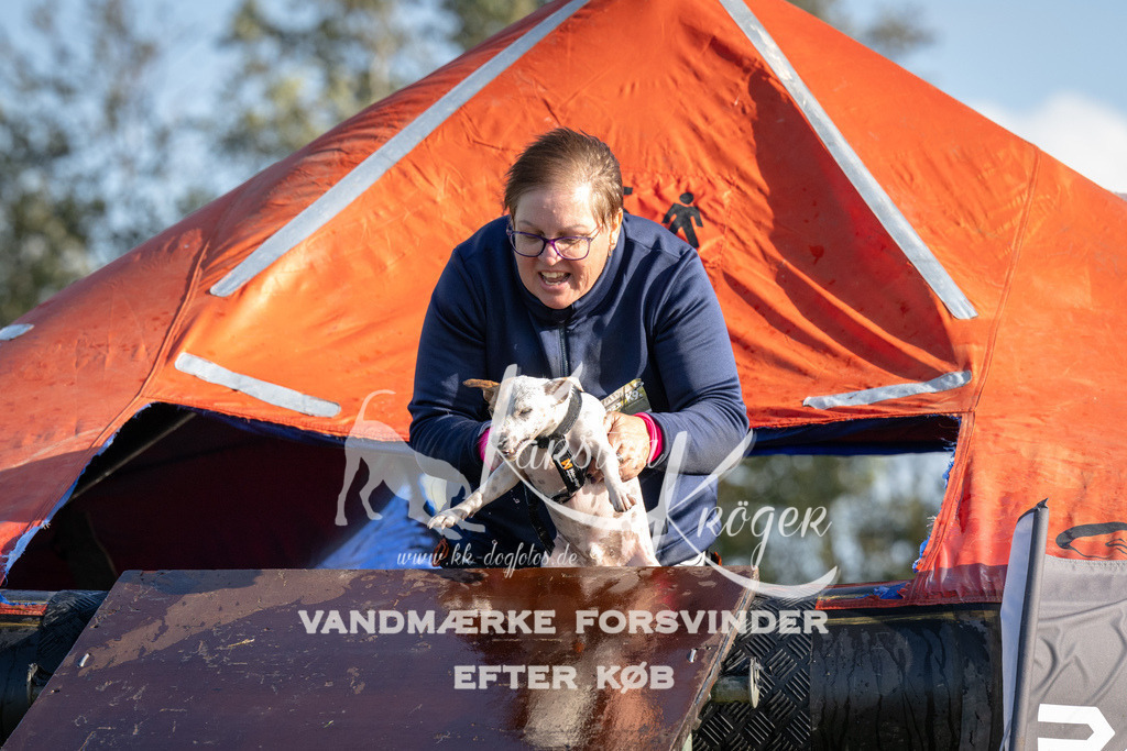 1439-94697 | kk-dogfotos