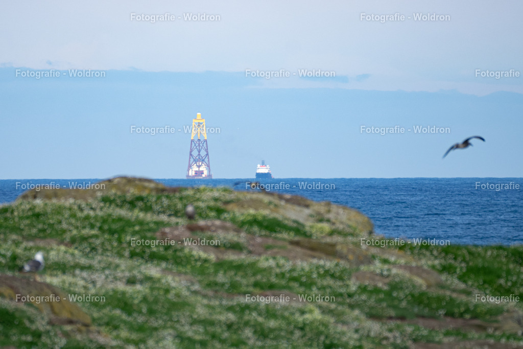 20230815 Isle of Sky - St.Andrews - Dundee-113 | Fotografie Woldron